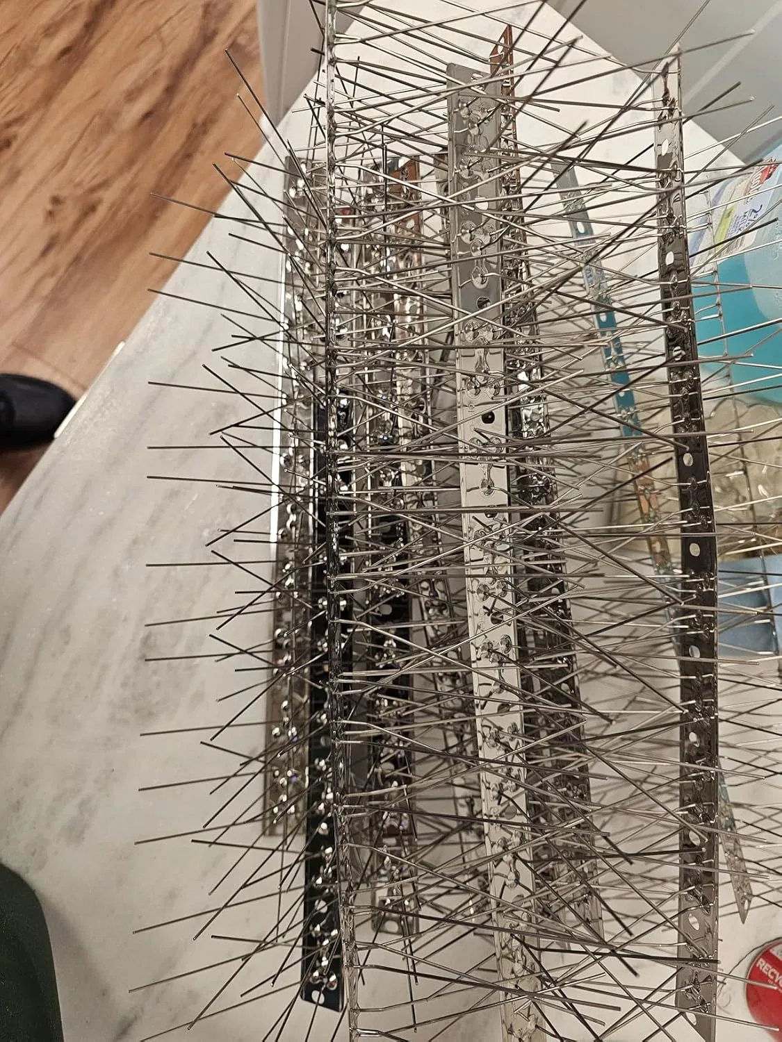 Customer photo of bird deterrent spikes installed on dock railing